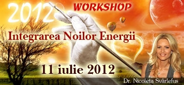 2012- Integrarea Noilor Energii. Workshop, 11 iulie 2012