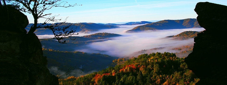 CUM PUTEM CONTRIBUI SITUATIEI DE LA ROSIA MONTANA?