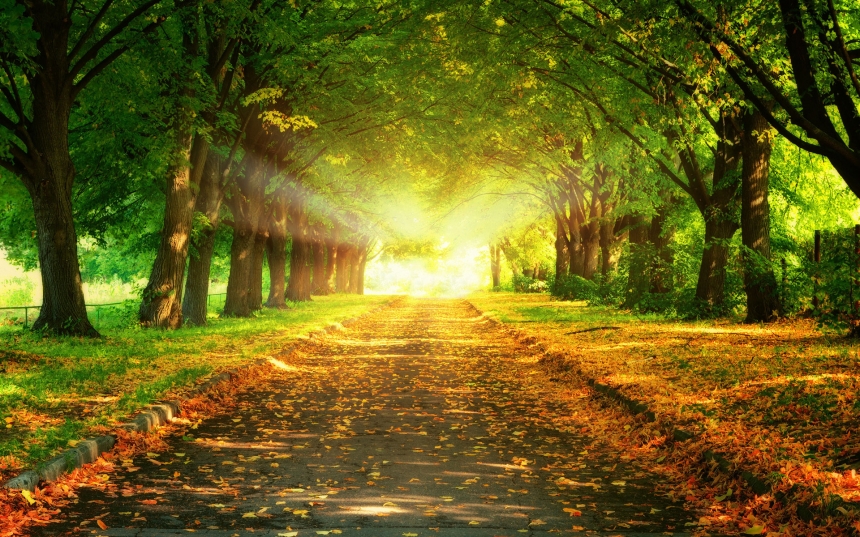 path