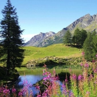 Tabara: ANTRENAMENT PENTRU O VIATA IMPLINITA, 25-30 iunie 2010