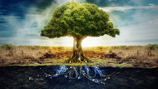 tree of life
