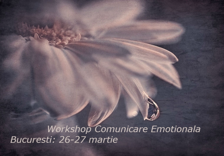 Workshop Comunicare Emotionala. 26-27 martie, Bucuresti