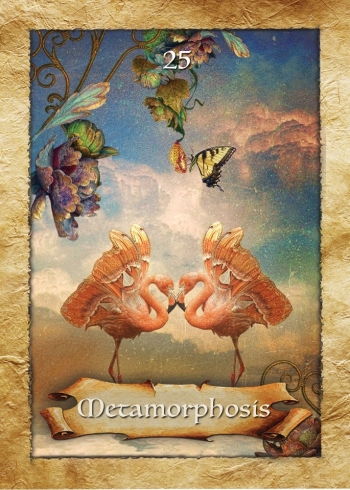 Pesti - Metamorphosis